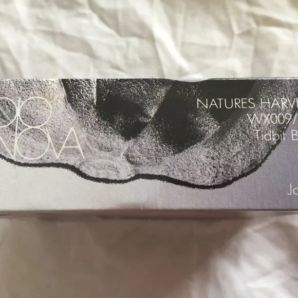 Brand New Set of 4 Studio Nova Natural Harvest Tidbit bowls - Picture 5 of 6